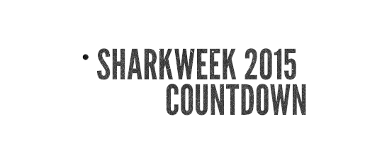 Shark Week 2024